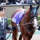 天皇賞・春(G1)レインボーラインには疑問!? 天才・楠原安里梨が見据える長距離戦の「結末」