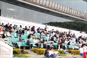 JRA大物調教師の「引退疑惑」が加速……ディーマジェスティ引退の原因は「ローテーション」と蛯名正義「トントン負担」？