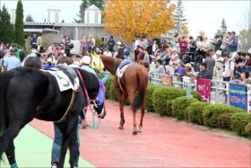 JRA「美浦大物調教師」引退を関係者がついに言及……角居勝彦師と並ぶ「パイオニア」