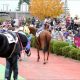 JRA「勝てない騎手」が名門・池江泰寿厩舎所属で大出世!? 裏には競馬界の現状と「救いの手」が……