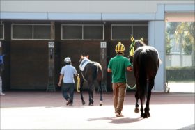 JRA「引退」調教師の強豪馬「使い倒し」を転厩後管理する新参調教師が懸念!? G1出走の素質馬と「使い詰め厩舎」の心配
