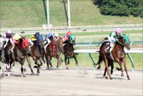 チャンピオンズカップ（G1）テイエムジンソク死角は陣営の「ドキドキ」!? 「大器覚醒」へ自信はあるが……