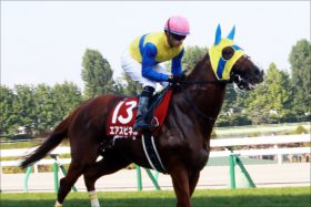 JRA武豊とエリート街道から転落……8歳馬「波乱」の馬生。フェブラリーＳ（G1）「大波乱演出」エアスピネル＆ケイティブレイブの意外な共通点とは？