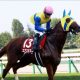 JRA武豊、プロキオンS(G3)「元相棒」エアスピネル劇的復活をチラリ!? 「勝ったと思ったけどね……」コンビ再結成の可能性が低い理由