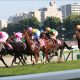 JRA武豊、プロキオンS(G3)「元相棒」エアスピネル劇的復活をチラリ!? 「勝ったと思ったけどね……」コンビ再結成の可能性が低い理由