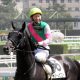 JRAジャングルポケットに感謝「ジャンポケ」馬名から命名も「ウイニング競馬」出演・斉藤慎二氏が語る本当にあったトリオ名「候補」