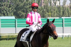 JRAの洗礼？モレイラ「厳しすぎ」騎乗停止に他騎手も疑問？ 「見せしめ」との声も……