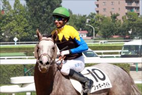 JRA受験モレイラ「札幌襲来」で今年も大暴れ？ 日本人騎手「複雑」も実力を考えれば……