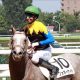 府中牝馬S(G2)はJRA「現場関係者情報」でウハウハ? ディアドラ・リスグラシューは「相手」まで?