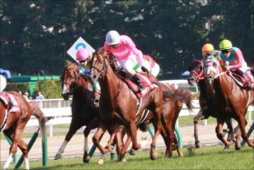 中山記念（G2）波乱決着が再び!? 「中山巧者」サクラアンプルール「リベンジ達成」を確実視する声