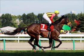 JRAジャパンC（G1）「爆穴」サウンズオブアースの実績なめるな？ 通算「四度目の正直」は