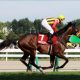 【京阪杯(G3)展望】前走からの巻き返しを狙うアレスバローズ!夏のスプリント重賞2連勝の実力を示せるか?