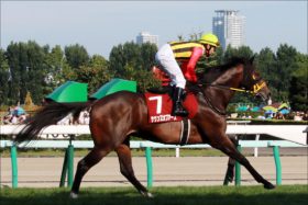 JRA有馬記念（G1）サウンズオブアース「最後の2着」か!? 「ゴールドアクターの壁」に阻まれた3勝目、ついにラストラン