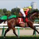 JRA有馬記念(G1)武豊オジュウチョウサン「不気味」……見逃せない季節外れの桜?美浦新鮮情報てんこ盛り