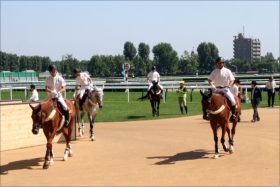 函館SS（G3）はJRA栗東情報2頭の「取捨」で決まる!? 昨年覇者に「夏王」の状態が鍵