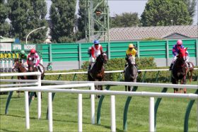 JRA浜中俊「復活」へ上り調子ダンスディレクターでG1挑戦！ あの「連続斜行バッシング」を超える時が……