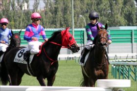 JRA函館2歳Sは「馬単4点」でイケル！? 関係者情報のキーワードは「パワー」