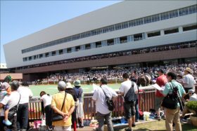 スプリンターズS（G1）「サイン」はJRA‐VAN藤原竜也登場で大波乱!? 今年、芸能生命を終わらせかねなかった”大恥事件”によって導き出された答えは