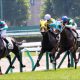 JRA新馬「ショウナンパンドラ弟」に良血が襲い掛かる! 父ディープインパクトに捧げる新馬たちの激走一挙紹介