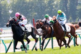 JRAとの交流はあり得ない……北朝鮮が「競馬」解禁の裏側と、「サラブレッドじゃない」疑惑