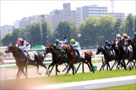 【京成杯AH（G3）展望】マイル王へ向けての熾烈な争い！？マイル路線を牽引する主役の誕生なるか？