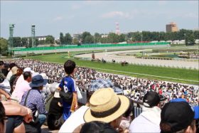 JRA「異常気象」で内部崩壊の危機!? 連日猛暑に現場から悲鳴……「命に関わる暑さ」でも変わらない炎天下「15時30分」発走