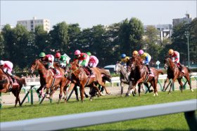 JRA「一族悲願のG1制覇へ向かう！」　良血馬カウディーリョ　新馬勝ち