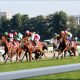 JRA新馬戦キングカメハメハ産駒は要注意? 今週の新馬戦、注目の一頭