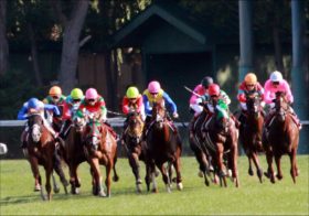 JRAピースオブエイト「伝説の新馬戦」級デビューでグランディアを返り討ち!? 川田将雅ダノンスコーピオンに強敵登場か、着差以上の強さを裏付けた衝撃の理由とは