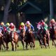 JRA石橋脩「楽でした」ミッキーブンブンはまるでディープインパクト!? 回って来ただけで馬群一蹴に「距離は延びてもいい」菊沢師も太鼓判