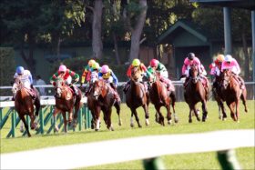 JRA「ホープフルS（G1）」迫るもバッシング止まず……諸々の違和感と競馬界隈からも呆れ声