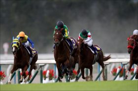 関西馬が連勝中のJRA菊花賞！リアルな関西馬ネタを入手する「裏技」を公開！