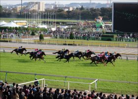 ルメールはダメで武豊はOK！天皇賞（秋）にまつわる衝撃の事実。混戦を抜け出す最終兵器とは？