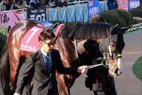 武豊ダンビュライト再結成！ 宝塚記念（G1）回避続出で大チャンス到来！