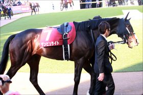 宝塚記念（G1）武豊「キタサンブラックの悪夢」払拭へ。単勝1.4倍9着惨敗から1年……伏兵ダンビュライトが「リベンジできる」理由