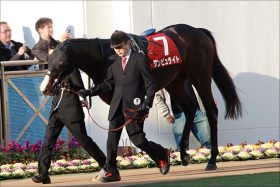 宝塚記念（G1）武豊×ダンビュライト再結成で「勝利近い」理由……イマイチメンバー以外の「非根幹お得意」「荒れ馬場歓迎」な素顔