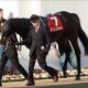 宝塚記念(G1)武豊「キタサンブラックの悪夢」払拭へ。単勝1.4倍9着惨敗から1年……伏兵ダンビュライトが「リベンジできる」理由
