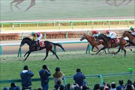 大阪杯（G1）「鞍上問題」決着！ ダンビュライト、ペルシアンナイト「騎手決定」で浜中俊、福永祐一、三浦皇成に”逆襲”のチャンス!?