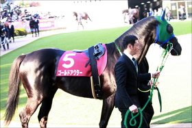 ゴールドアクター「引退」左右の一戦へ。最強ライバルと渡り合った力は戻るのか