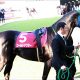JRA 「競馬は社台・ノーザンだけじゃない!」 日高生産馬にこだわる頑な男
