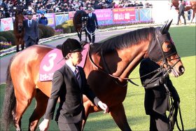 JRAジャパンC（G1）外国馬が「超順調」？ サトノクラウンら美浦情報と合わせて紹介