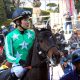 JRAの大荒れレース新潟大賞典(G3)は決意の1点勝負!関係者のイチオシ情報とは