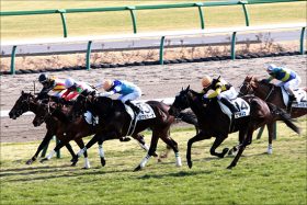 JRA元賞金王テイエムオペラオー「新事実」発覚！ 主戦・和田竜二騎手「乗り替わる予定だった」と語った衝撃の「新パートナー」とは