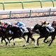 JRA和田竜二テイエムオペラオー「追悼コメント」が泣ける……主戦騎手が世紀末覇王に示した「感謝」の気持ちに反響続々