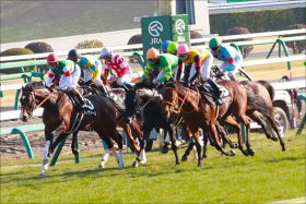 【ニュージーランドT（G2）展望】3歳世代のマイルチャンピオンへの試金石！前哨戦を勝ち上がり本番へと向かうのは？