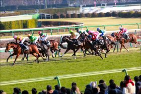 【中山牝馬S（G3）展望】波乱の要素を多分に含むハンデ戦！トリッキーな中山コースを制するのは勢いか実績か？