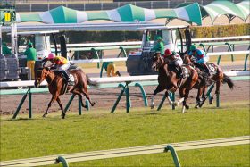 【オーシャンS（G3）展望】春のスプリント王決定戦へ向けての大一番!? 中心馬不在の混戦模様の激戦を制するのは？