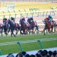 【オーシャンS(G3)展望】春のスプリント王決定戦へ向けての大一番!? 中心馬不在の混戦模様の激戦を制するのは?