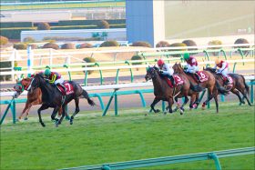 「大穴男」江田照男が「”舞台”移籍」!? 「重賞クラッシャー」から「初物大好き」で変わらぬ輝き