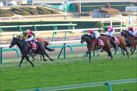 【京成杯（G3）展望】クラシックへ向けた熱き戦い！ 伝統の3歳重賞を制するのは